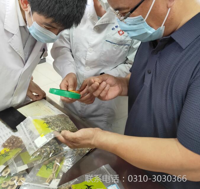 邯郸市肝病医院淋滞疏通丸（联系电话0310-3030366）原材料鉴别